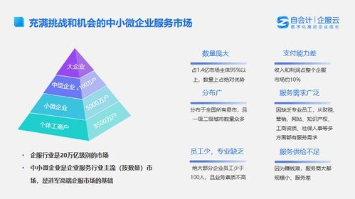 從會計操作到智能運營 代理記賬自動化與稅務服務的未來